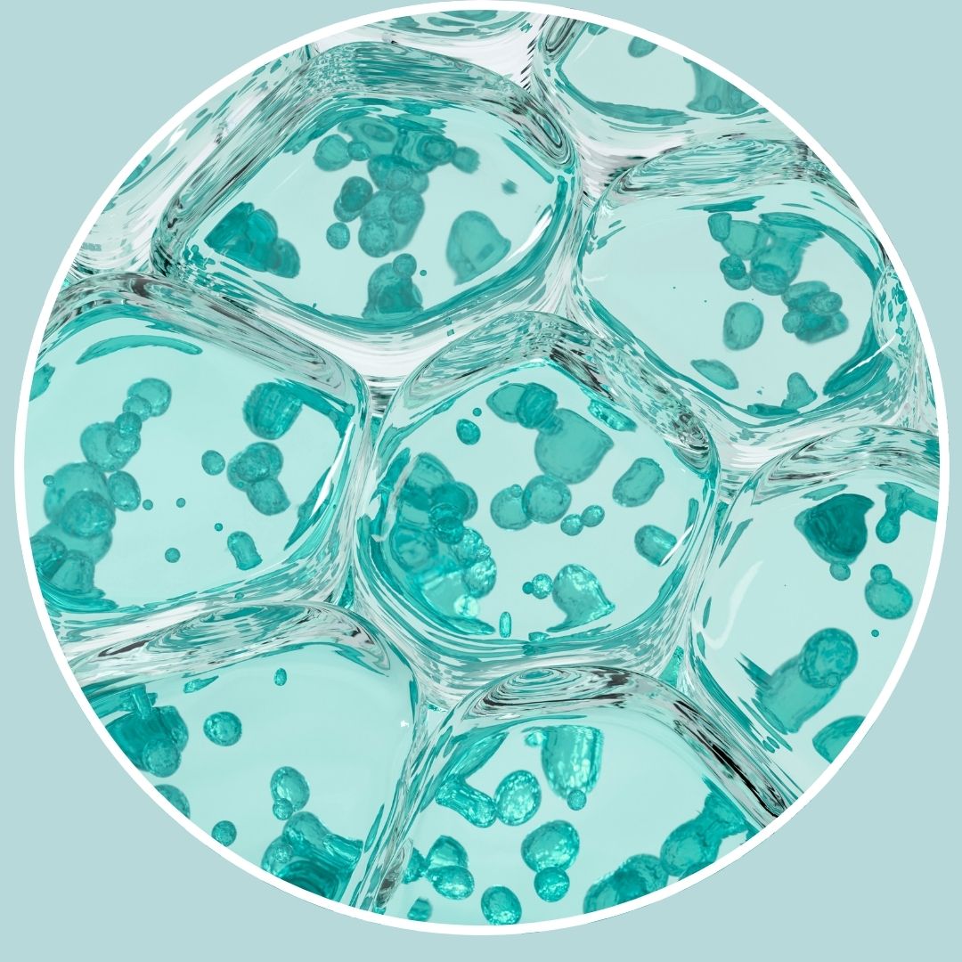 <em>The Story Behind the Microbiome</em>